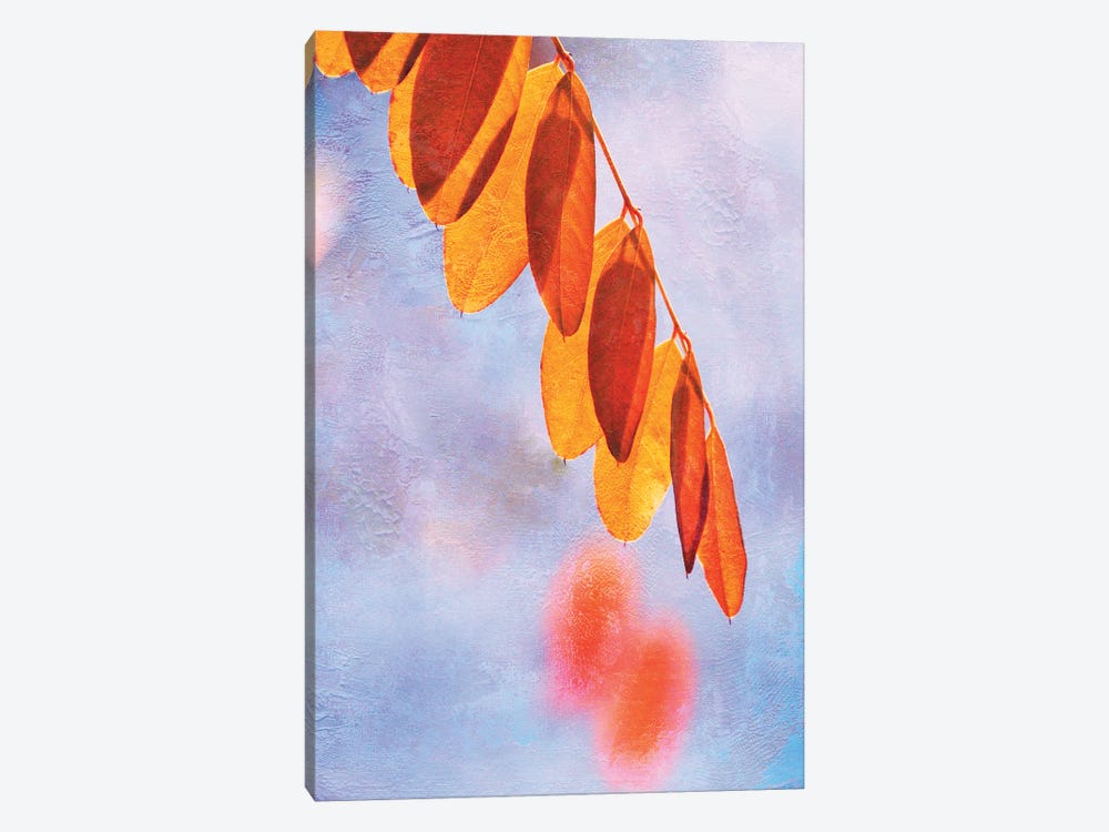 Autumn Light by Claudia Drossert 1-piece Canvas Art