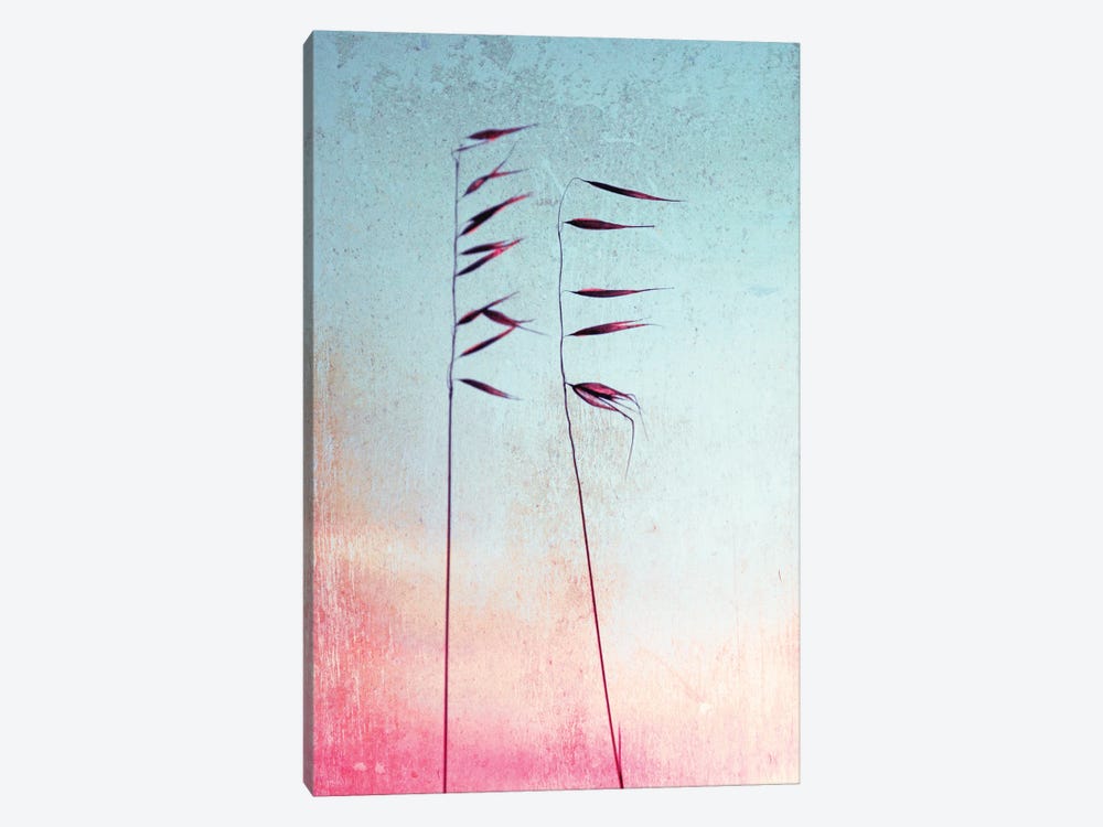 Reed by Claudia Drossert 1-piece Canvas Artwork