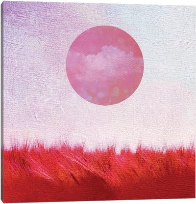 Summer Sun Canvas Art Print - Claudia Drossert