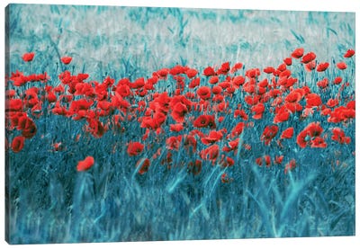 Poppy Field Canvas Art Print