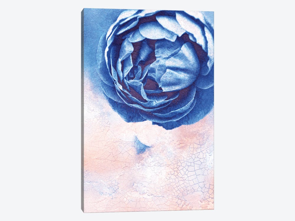 Blue Rose by Claudia Drossert 1-piece Canvas Art