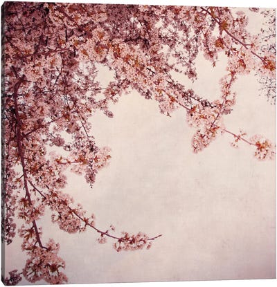 Fruhlingsbaum Canvas Art Print - Tree Close-Up Art