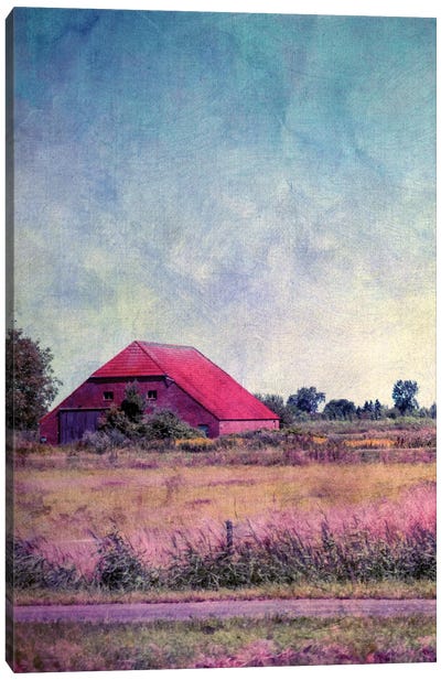 Hausinholland Canvas Art Print - Farm Art