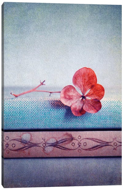Hortensie Pink II Canvas Art Print - Floral Close-Up Art