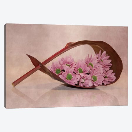Little Flowers Canvas Print #CDR32} by Claudia Drossert Canvas Art Print