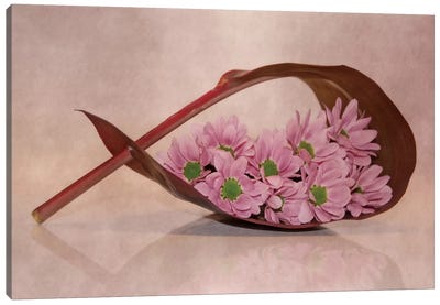 Little Flowers Canvas Art Print - Copper & Rose