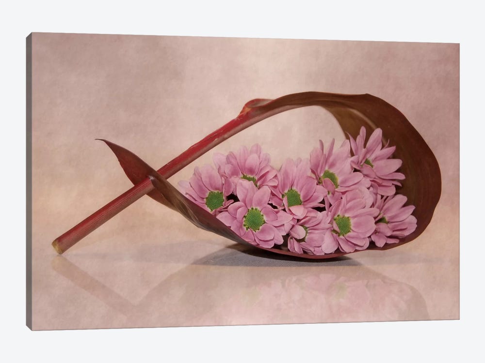 Little Flowers by Claudia Drossert 1-piece Canvas Wall Art