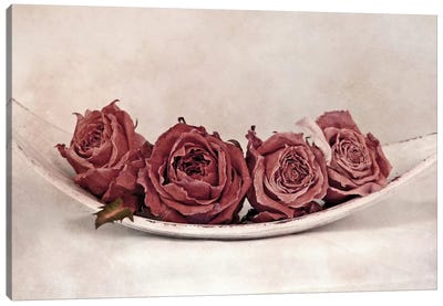 Quartet Of Roses Canvas Art Print - Vintage Styled Photography