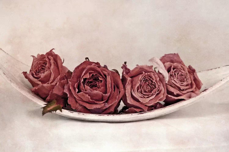 Quartet Of Roses by Claudia Drossert wall art