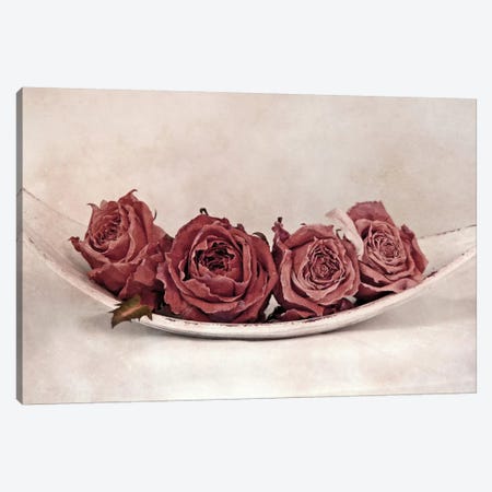 Quartet Of Roses Canvas Print #CDR60} by Claudia Drossert Canvas Wall Art
