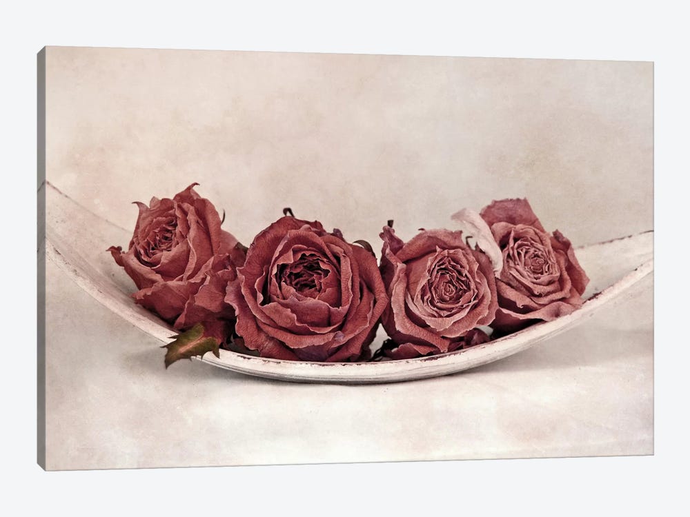 Quartet Of Roses by Claudia Drossert 1-piece Canvas Art Print