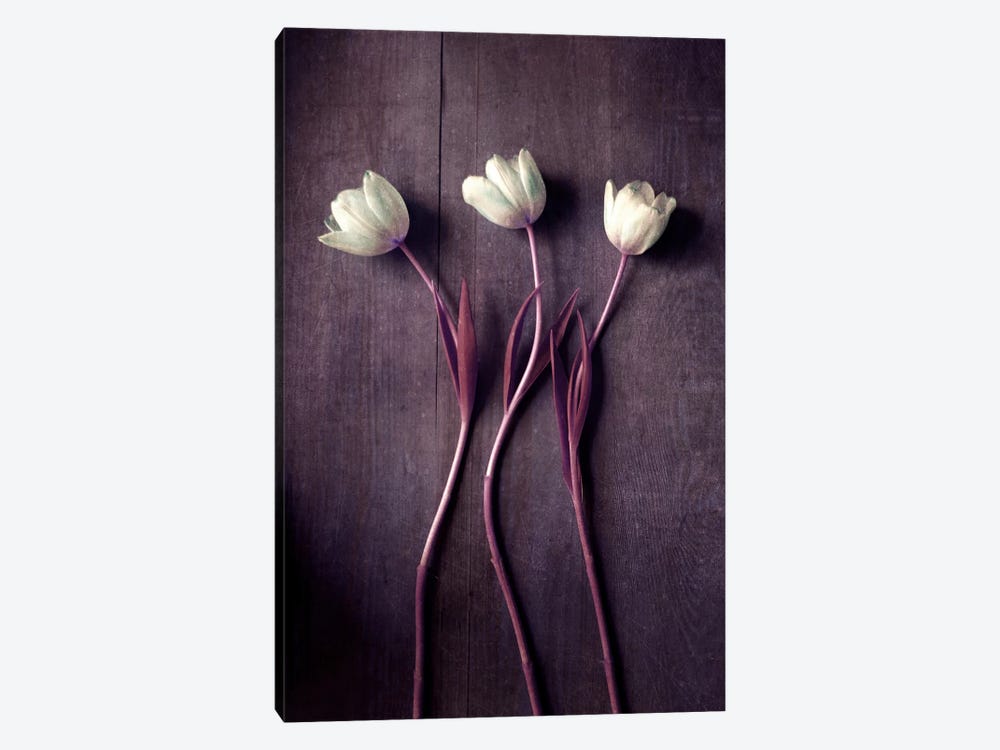 Tulip Dance by Claudia Drossert 1-piece Art Print