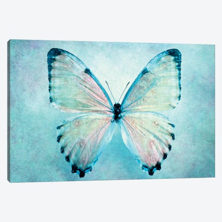 Blue Butterfly Canvas Print #CDR81} by Claudia Drossert Canvas Wall Art
