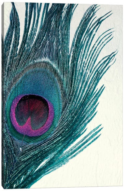 Feather Canvas Art Print - Feather Art