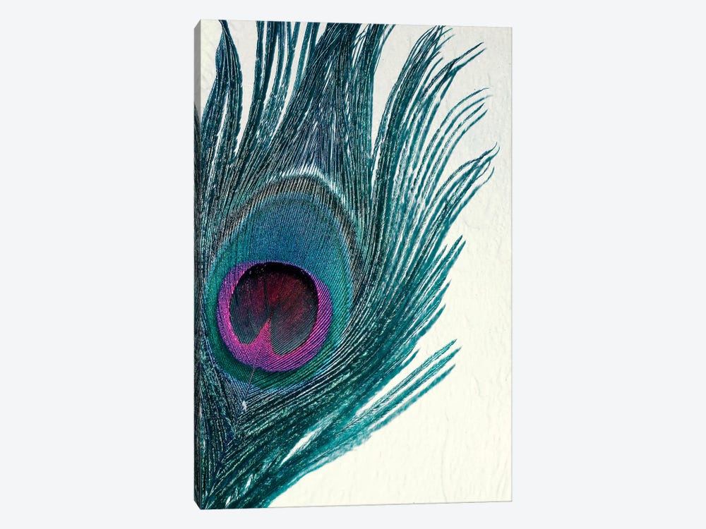 Feather by Claudia Drossert 1-piece Canvas Wall Art
