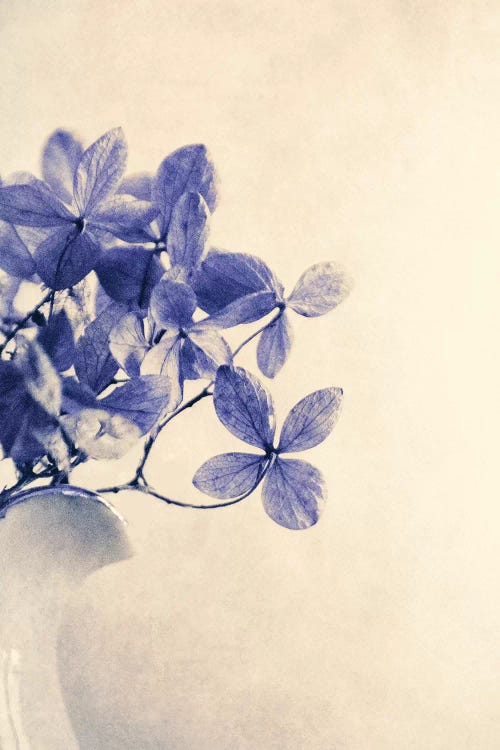 Mércores by Claudia Drossert wall art
