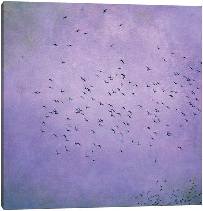 Birds V Canvas Art Print - Pantone Ultra Violet 2018
