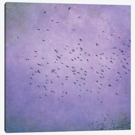 Birds V Canvas Print #CDR8} by Claudia Drossert Canvas Wall Art
