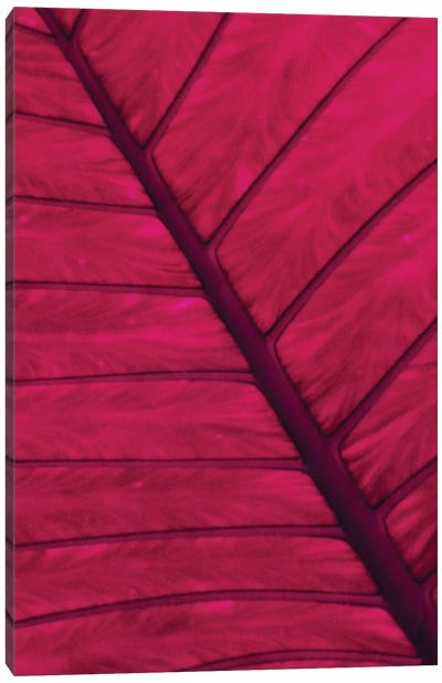 Blatt Canvas Art Print - Leaf Art