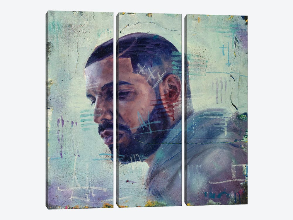 Drake by Cody Senn 3-piece Canvas Art