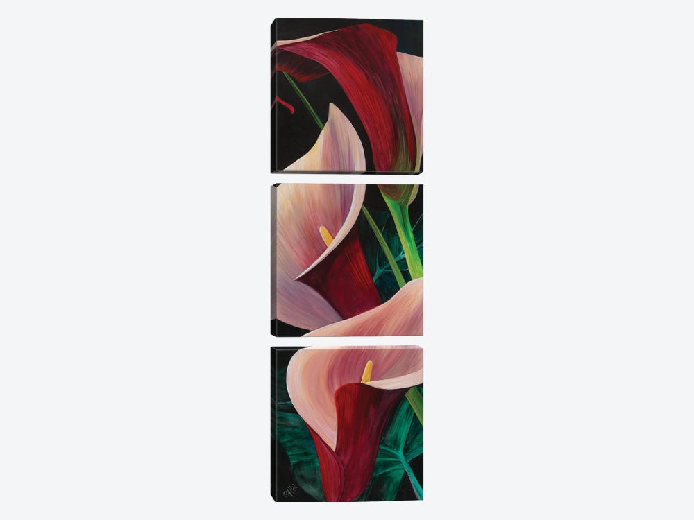 Calla Lilies by Cecile Albi 3-piece Canvas Art Print