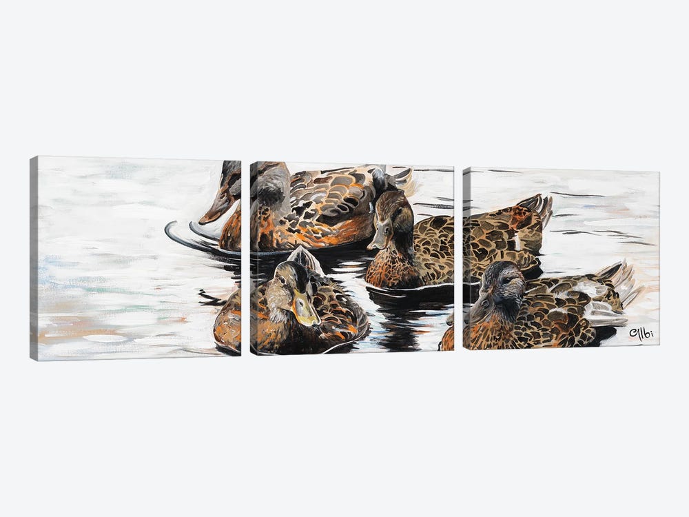 Ducks by Cecile Albi 3-piece Canvas Print