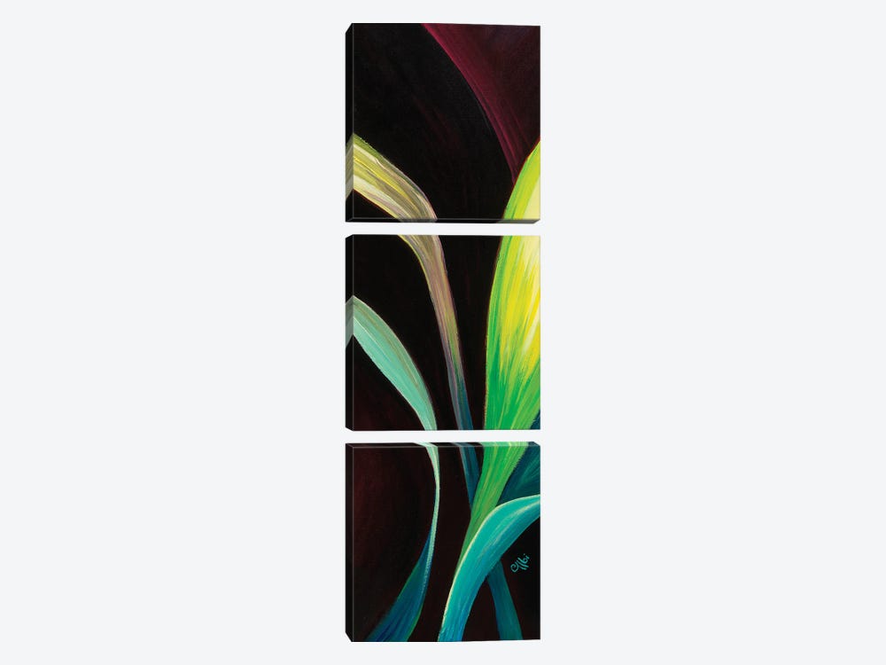Lily by Cecile Albi 3-piece Canvas Wall Art