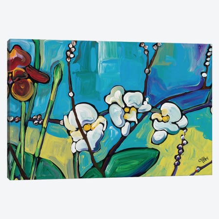 Orchids Canvas Print #CEB37} by Cecile Albi Canvas Art Print