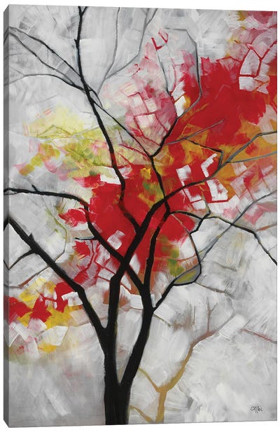 Autumn Fire Canvas Art Print - Cecile Albi
