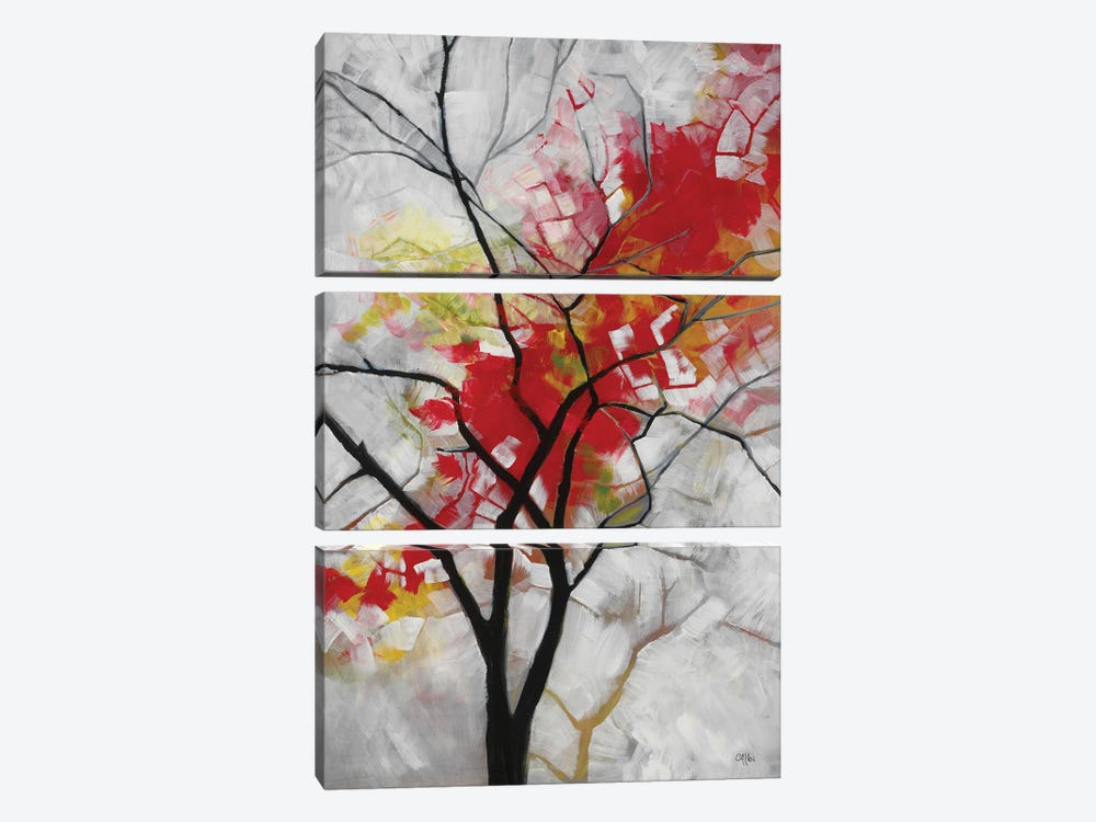 Autumn Fire by Cecile Albi 3-piece Canvas Artwork