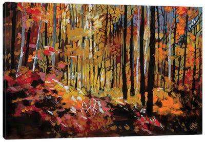 Autumn Forest Canvas Art Print - Cecile Albi