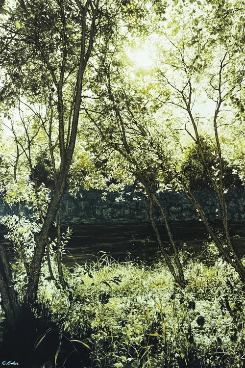 Green Ochre I