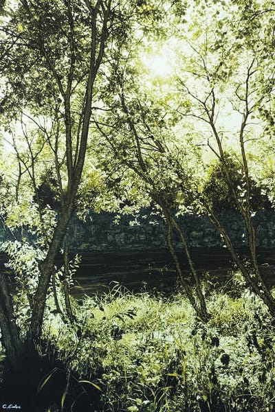 Charlotte Eder: Green Ochre I by Charlotte Eder