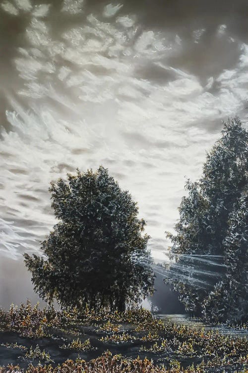 Light And Shadows