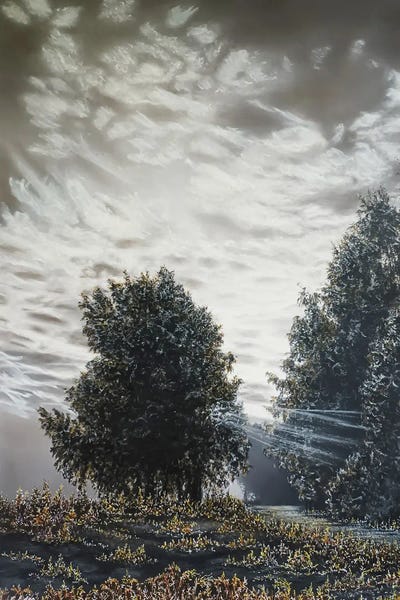 Charlotte Eder: Light And Shadows by Charlotte Eder