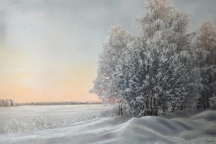 Total Silence by Charlotte Eder wall art