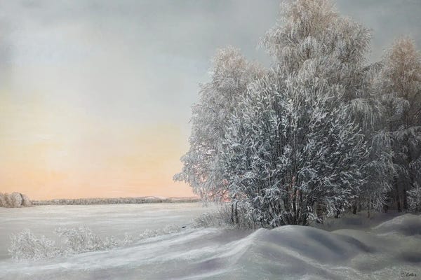 Charlotte Eder: Total Silence by Charlotte Eder