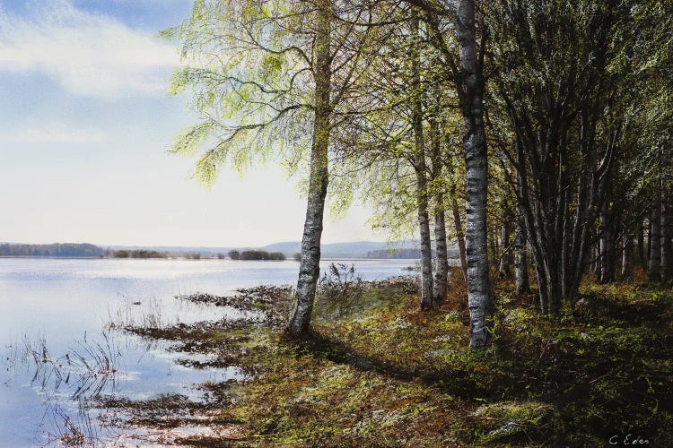 Spring Light