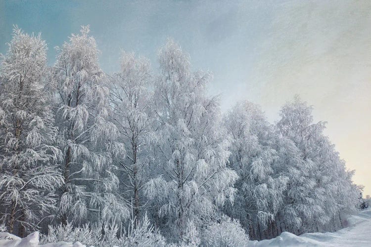 Blue Shades by Charlotte Eder wall art