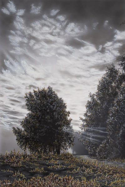 Charlotte Eder: Light & Shadows by Charlotte Eder