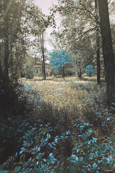 Charlotte Eder: The Park by Charlotte Eder