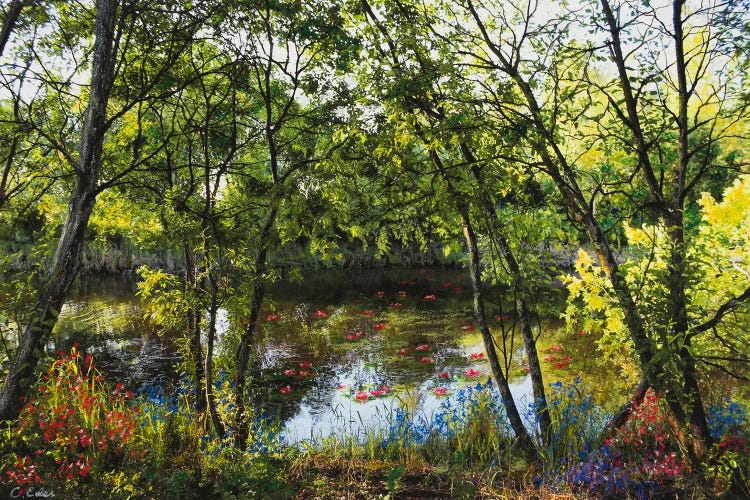 A Monet Dream by Charlotte Eder wall art