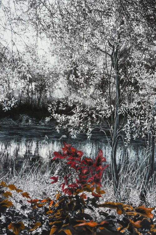 Blooming by Charlotte Eder wall art