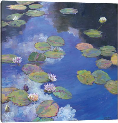 Lillypad Luxury I Canvas Art Print - Water Lilies Collection