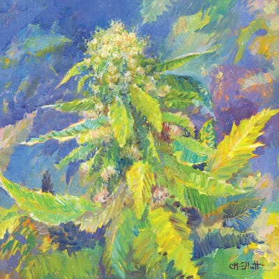 Strawberry Cough by Catherine M. Elliott art print