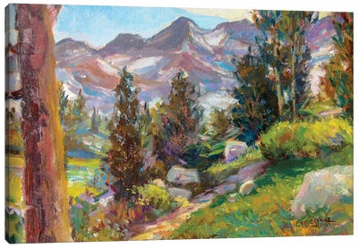 Trail Canvas Art Print