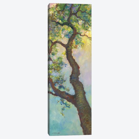 Tree Branch Canvas Print #CEI26} by Catherine M. Elliott Canvas Art Print