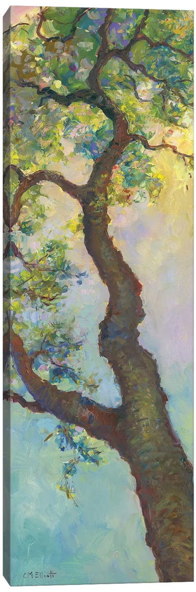 Tree Branch Canvas Art Print - Catherine M. Elliott