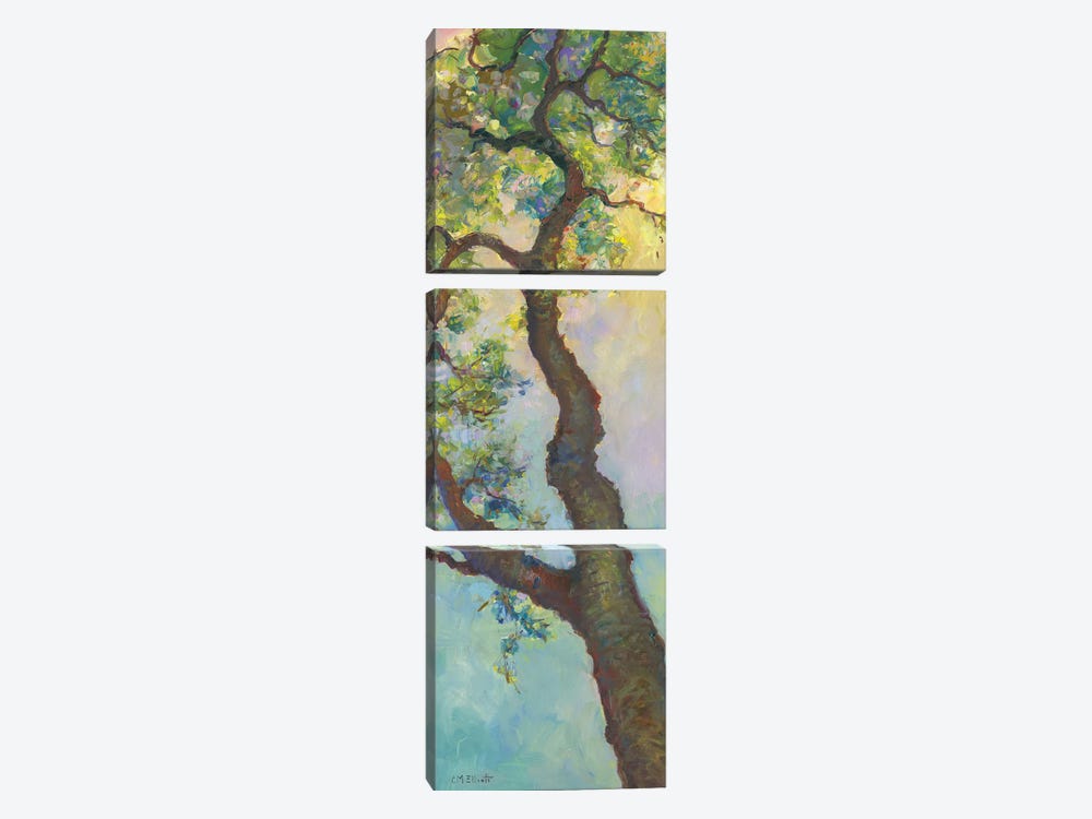 Tree Branch by Catherine M. Elliott 3-piece Canvas Print