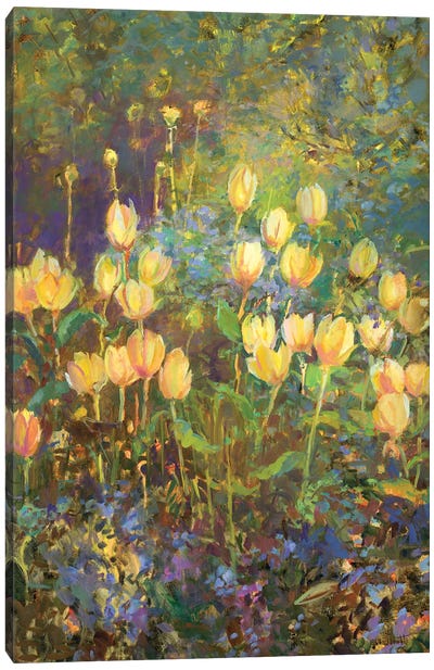 Tulips Canvas Art Print - Artists Like Monet
